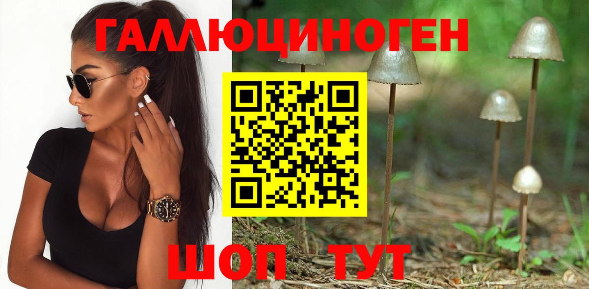 Псилоцибиновые грибы GOLDEN TEACHER Ульяновск
